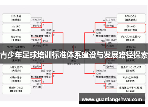 青少年足球培训标准体系建设与发展路径探索